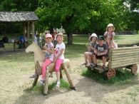 SAM_3074