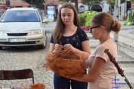 warszaty_niepodlegla114