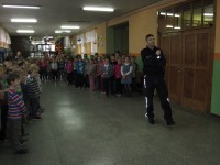 IMG 3684